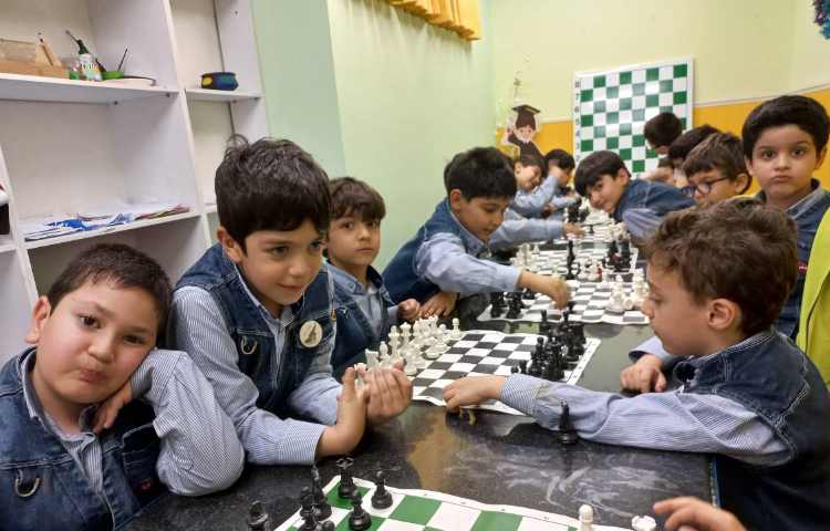 آشنایی با حرکت فیل و نام آن ها 6