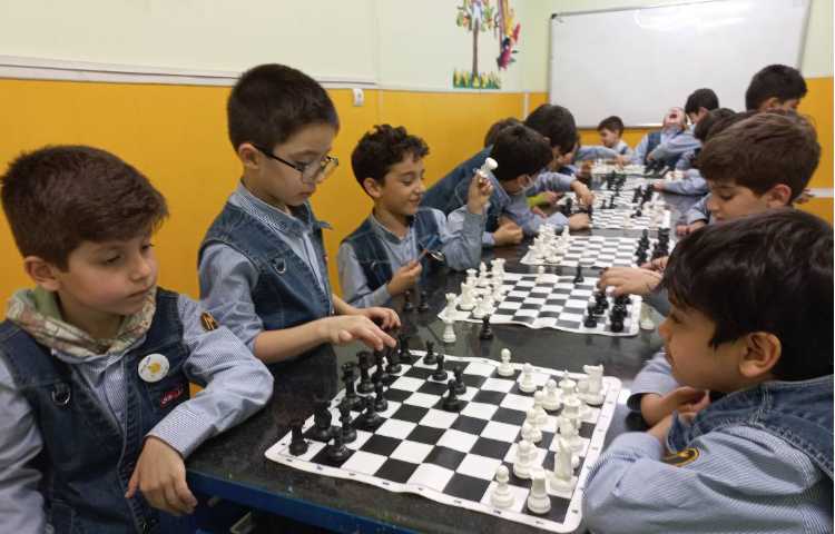 آشنایی با حرکت فیل و نام آن ها 8