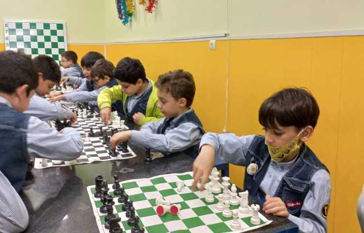 آشنایی با حرکت فیل و نام آن ها 9