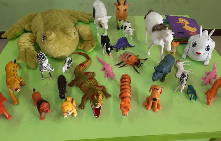 آشنایی با حیوانات اهلی و غیر اهلی 5