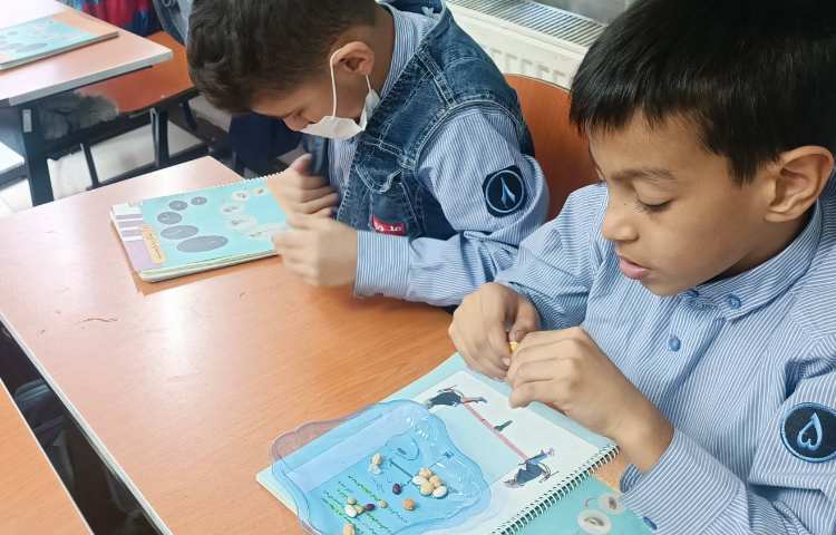 آشنایی با دانه‌های دو قسمتی 1