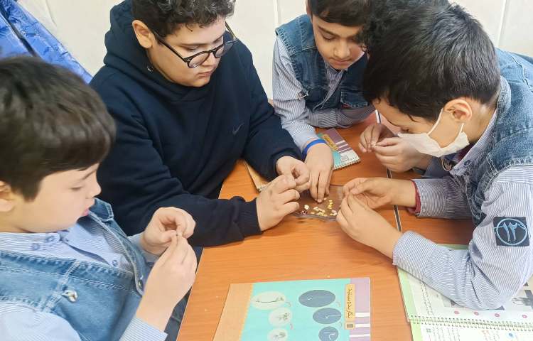 آشنایی با دانه‌های دو قسمتی 3