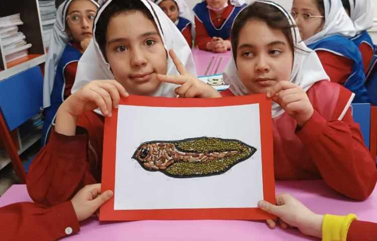 آشنایی با دوزیستان 8