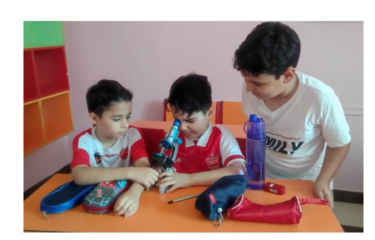 آشنایی با شکل سلول 1