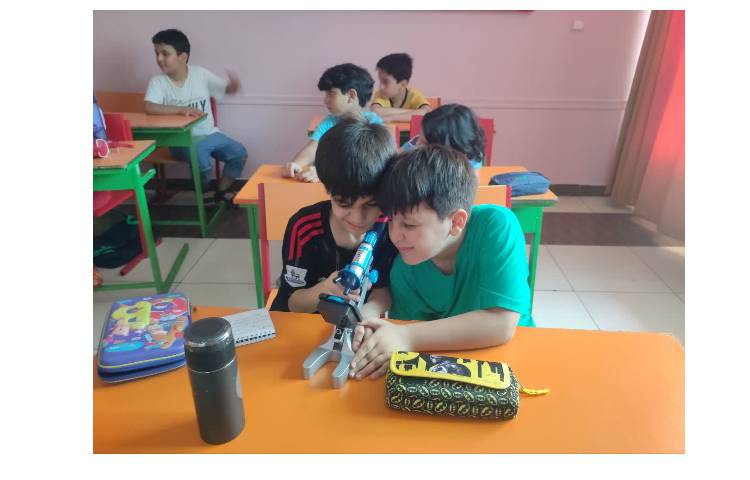 آشنایی با شکل سلول 2