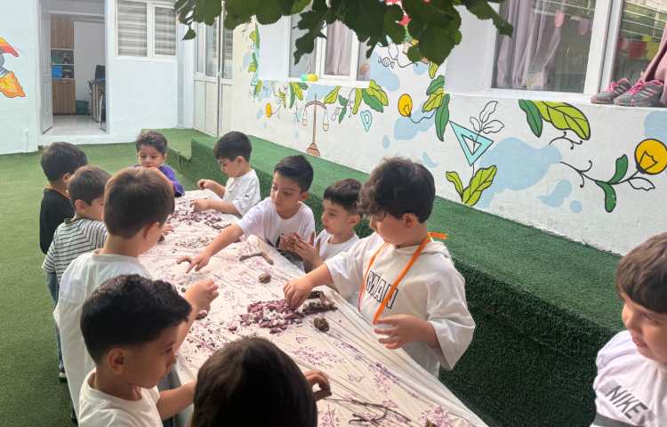 آشنایی با عناصر طبیعی