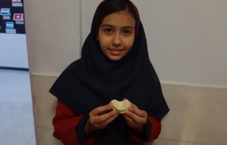 آشنایی با فسیل ها 1