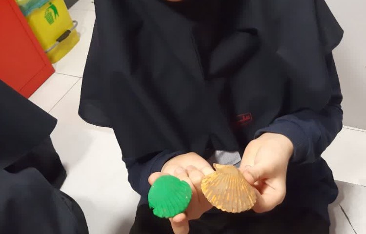 آشنایی با فسیل ها 3