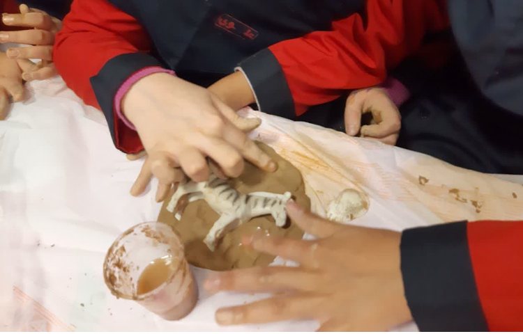 آشنایی با فسیل ها