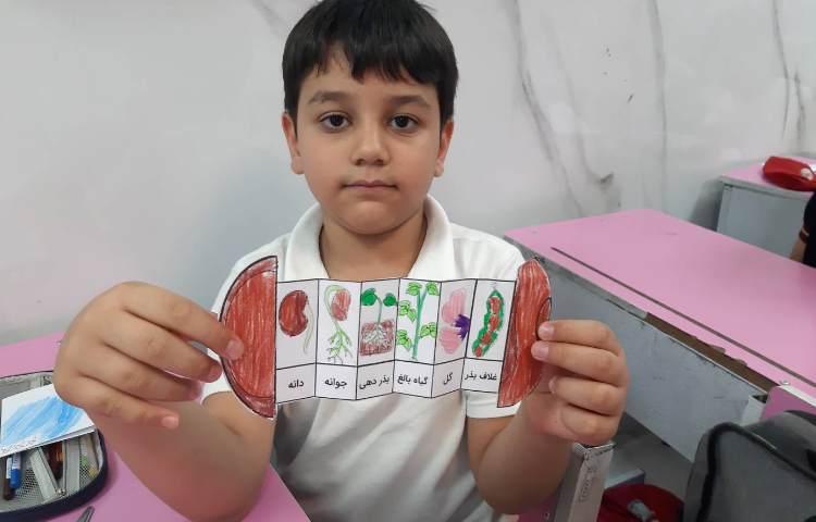 آشنایی با مراحل رشد گیاه 1