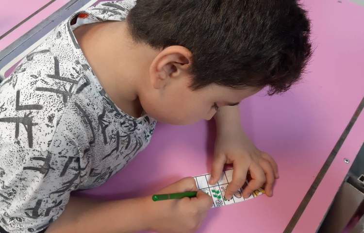 آشنایی با مراحل رشد گیاه 4