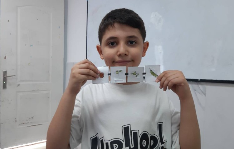 آشنایی با مراحل رشد گیاه