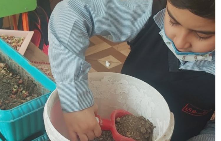 آشنایی با مراحل کاشت دانه لوبیا در پایه دوم 3