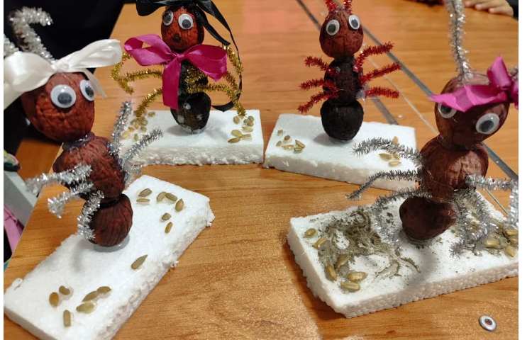 آشنایی با مورچه ها 1