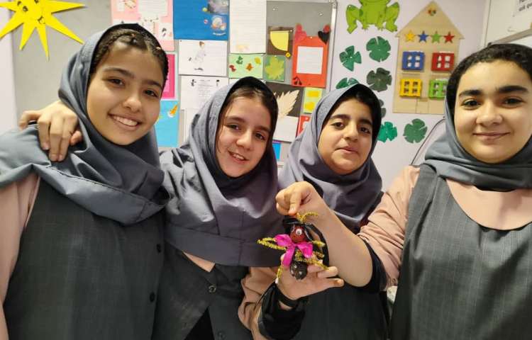 آشنایی با مورچه ها 5