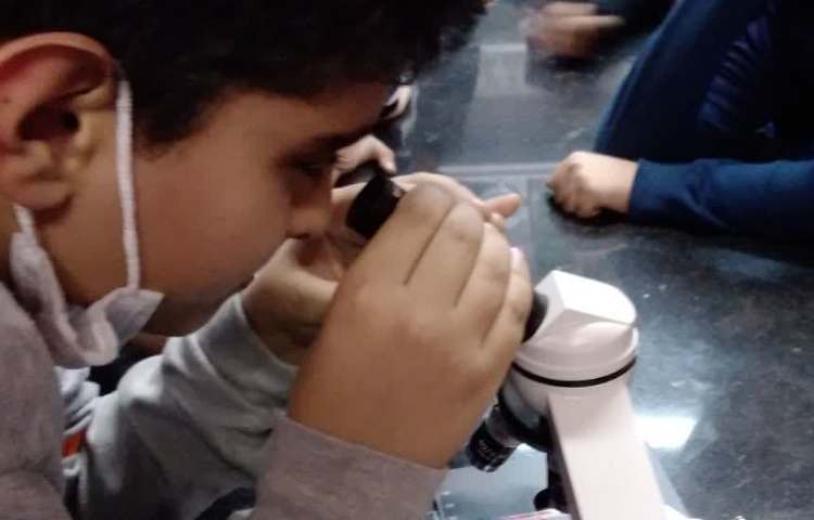 آشنایی با میکروسکوپ پایه ششم دبستان 4