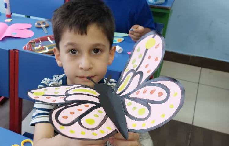 آشنایی با پروانه ها 6