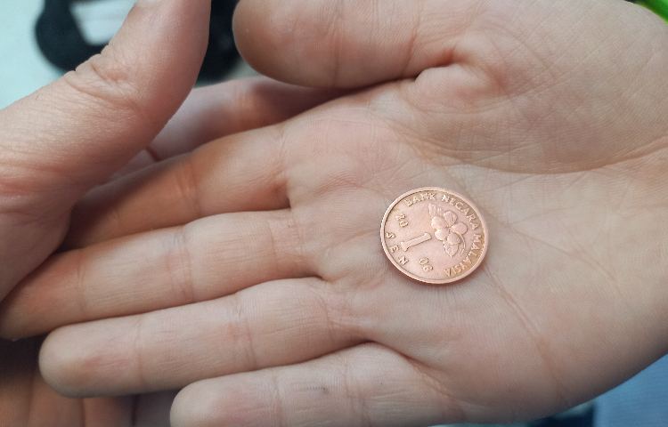 آشنایی با پول های خارجی 3