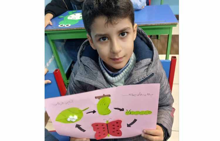 آشنایی با چرخه ی زندگی حیوانات 1