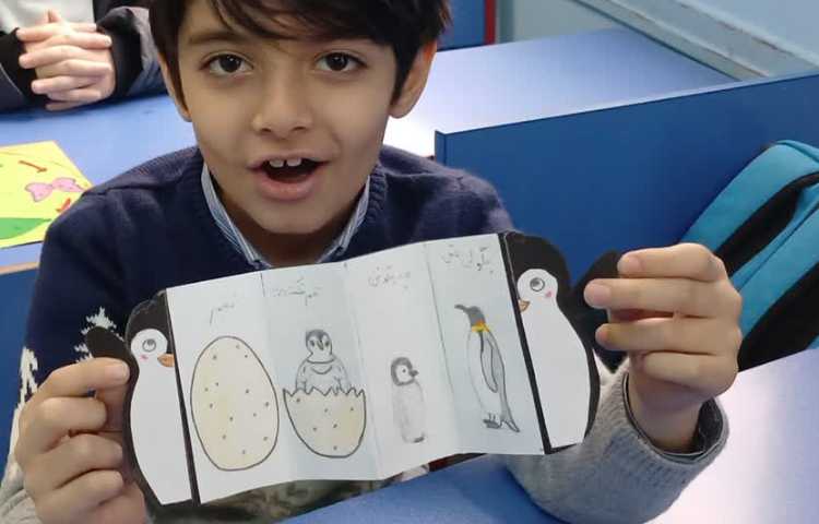 آشنایی با چرخه ی زندگی حیوانات 3