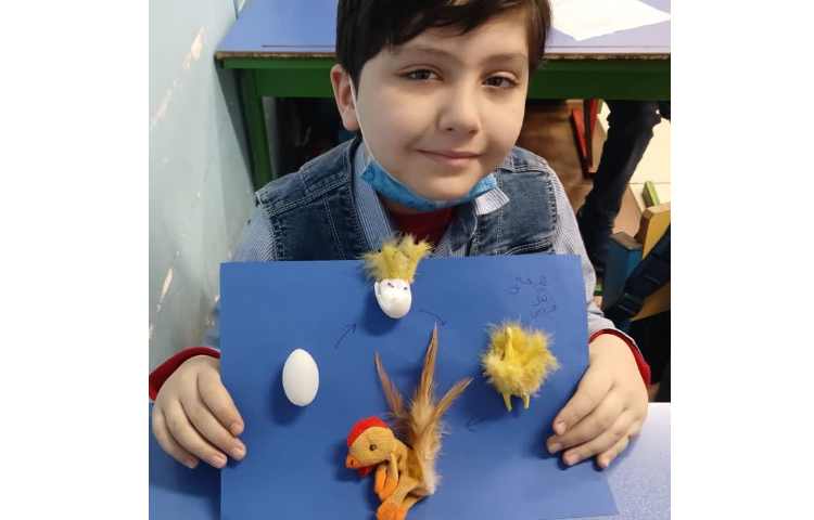 آشنایی با چرخه ی زندگی حیوانات 6