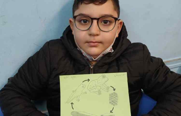 آشنایی با چرخه ی زندگی حیوانات 8