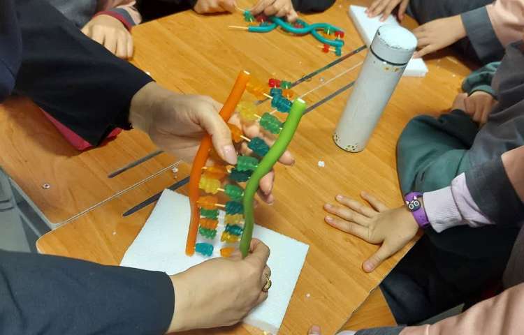 آشنایی با ژن و دی ان ای