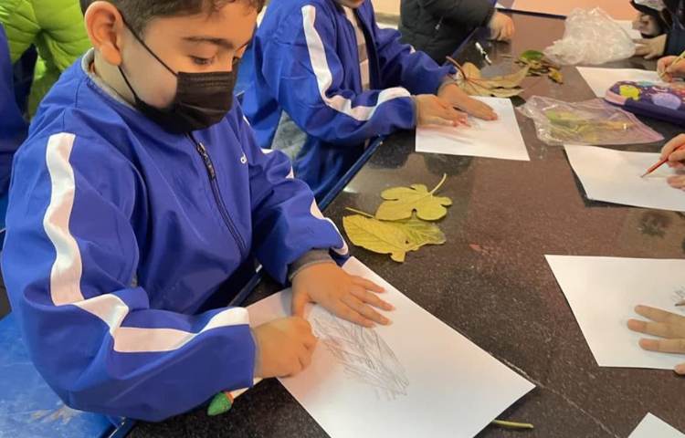 آشنایی با گیاهان درس علوم پایه اول 1