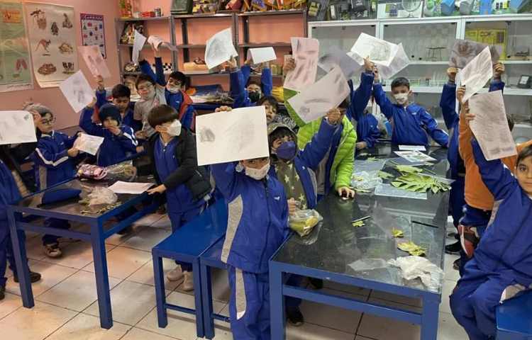 آشنایی با گیاهان درس علوم پایه اول 2