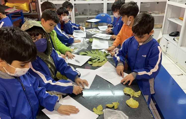 آشنایی با گیاهان درس علوم پایه اول 4