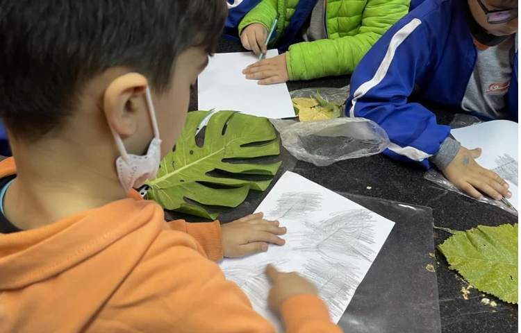 آشنایی با گیاهان درس علوم پایه اول 6