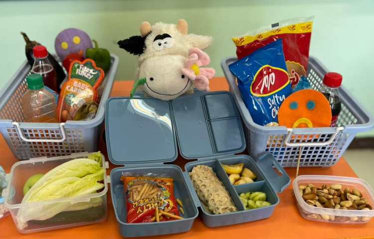 آشنایی و جداسازی خوراکی های سالم و ناسالم