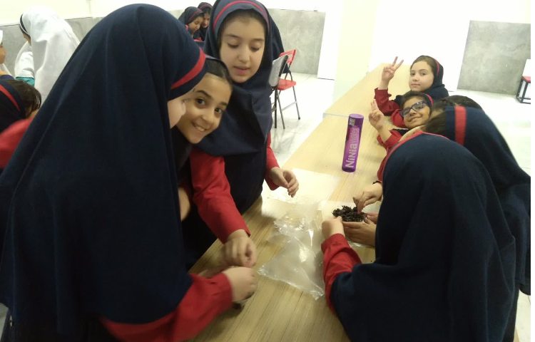 آشپزکوچولو 3