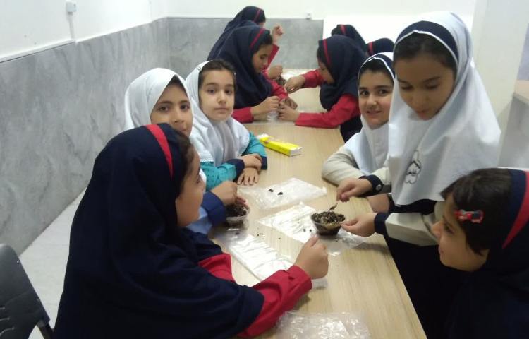 آشپزکوچولو 4