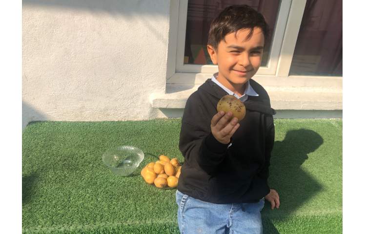 آشپزی (درست کردن سمبوسه) 1