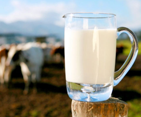 لبنیات و شیر، مانع از جذب فلزات سنگین موجود در هوای آلوده