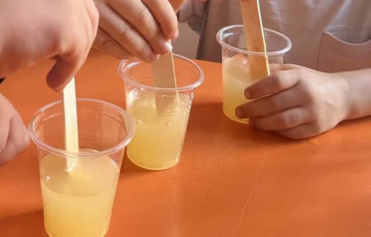 آماده سازی بستنی یخی و زنگ استقلال من 4