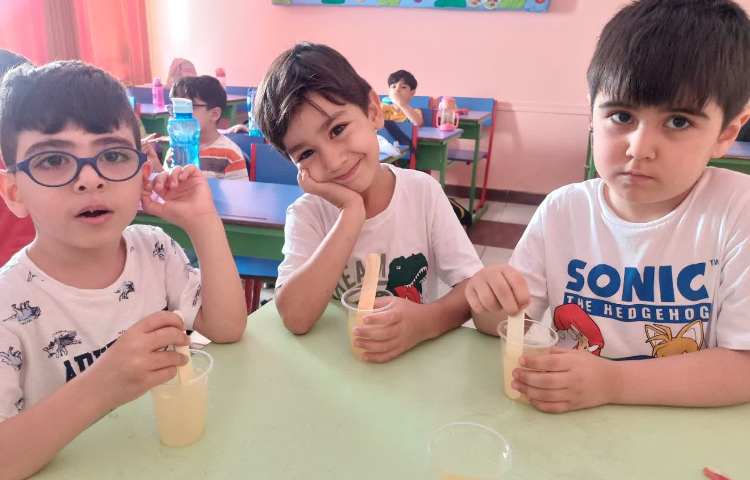 آماده سازی بستنی یخی