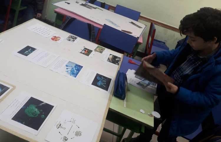 آماده سازی و طراحی پوسترهای گروه های چهارگانه چهارخونه دبستان علوی 1