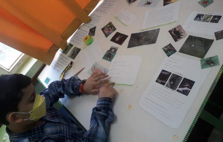 آماده سازی و طراحی پوسترهای گروه های چهارگانه چهارخونه دبستان علوی 2