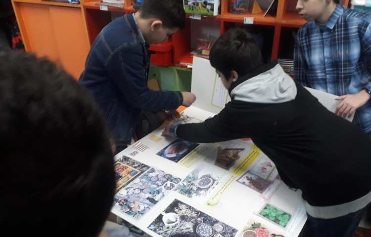 آماده سازی و طراحی پوسترهای گروه های چهارگانه چهارخونه دبستان علوی 13