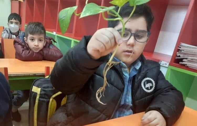 آموزش آشنایی با گیاهان درس علوم پایه اول 1