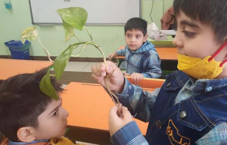 آموزش آشنایی با گیاهان درس علوم پایه اول 2