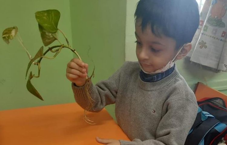 آموزش آشنایی با گیاهان درس علوم پایه اول