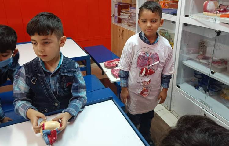 :آموزش اعضای داخلی و خارجی بدن 3