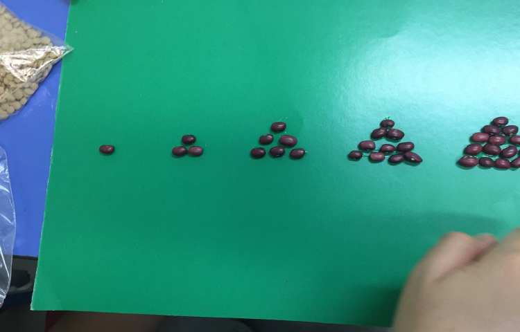 آموزش الگوی مثلثی و مربعی 5