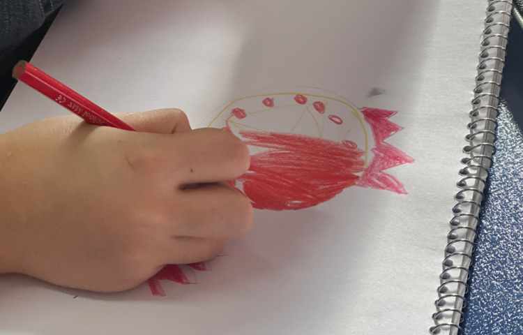 آموزش انار 1