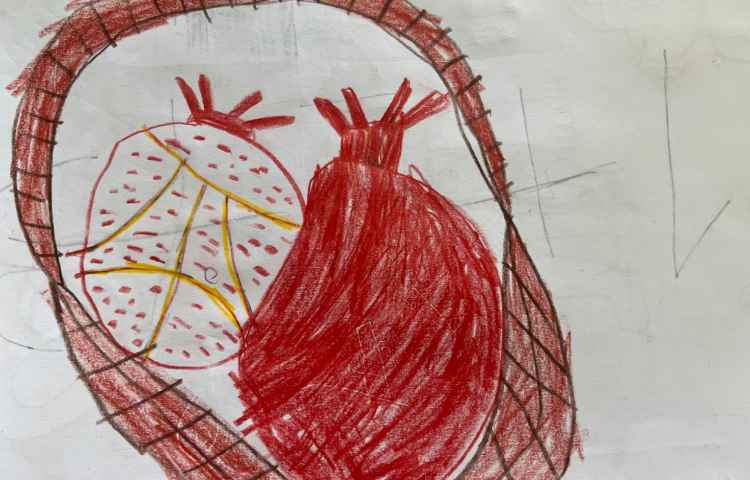 آموزش انار 3