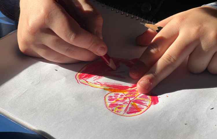 آموزش انار 3