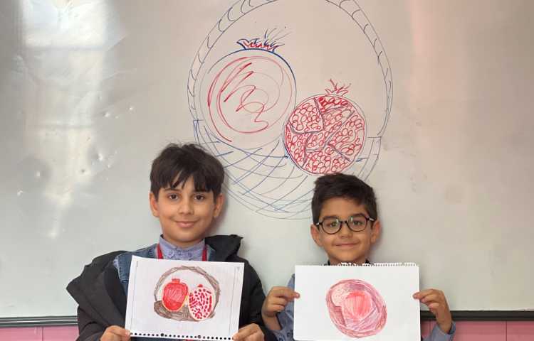 آموزش انار 5